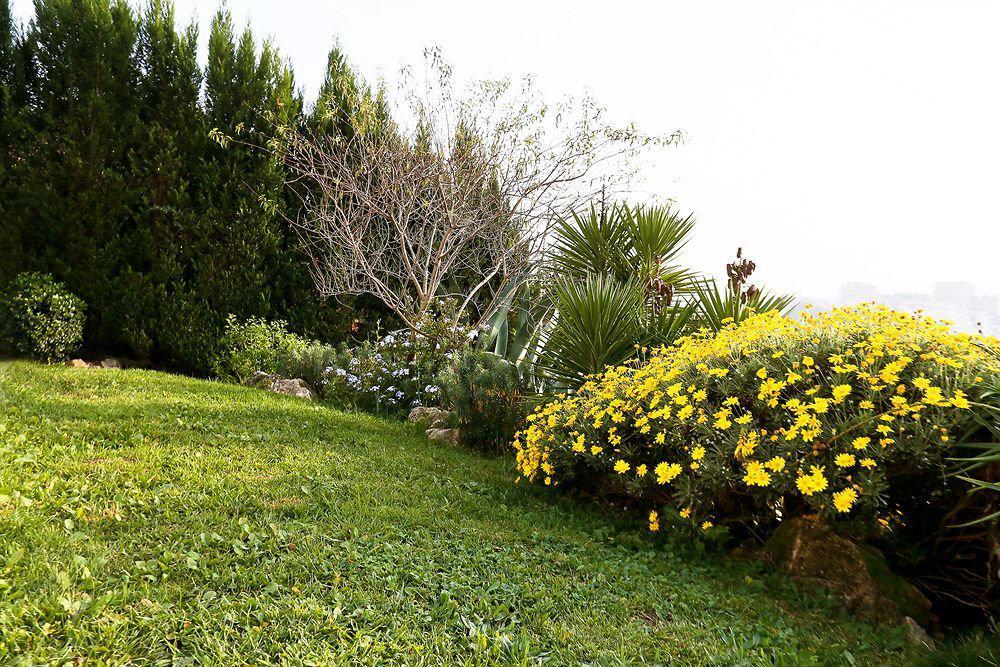 Villa Stephanie Mougins Dış mekan fotoğraf